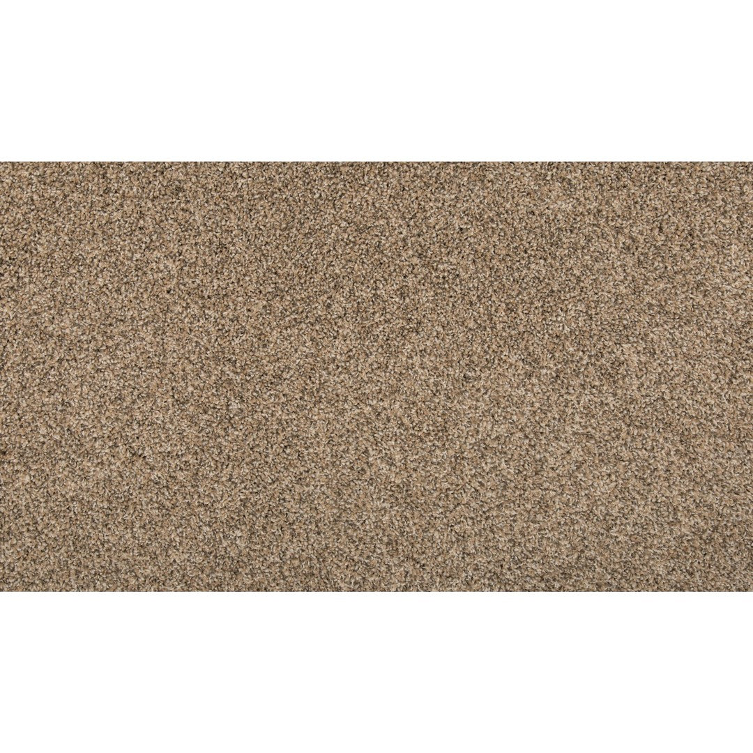 Remodeled I in Flax Seed