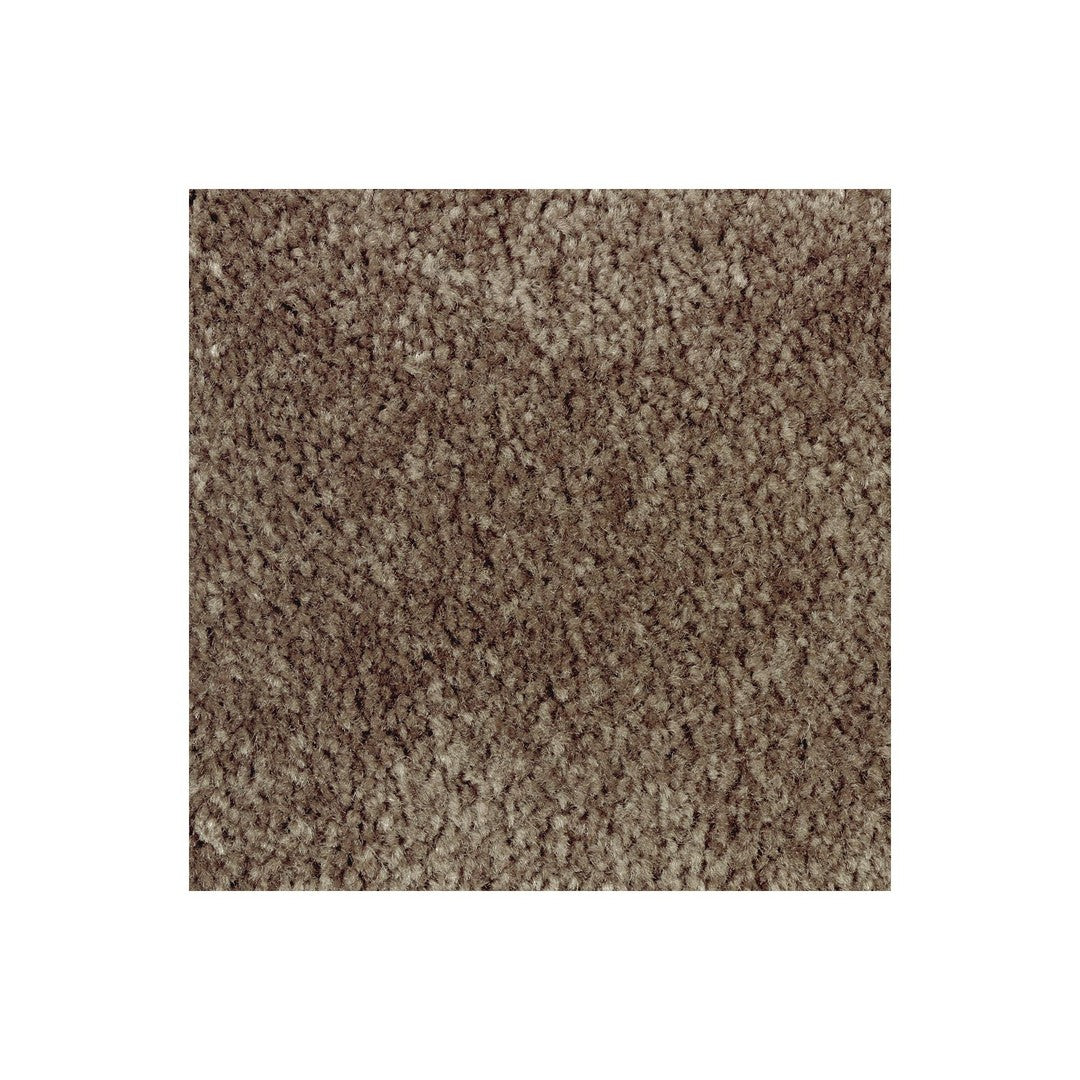 Creative Factor II in Rustic Beam