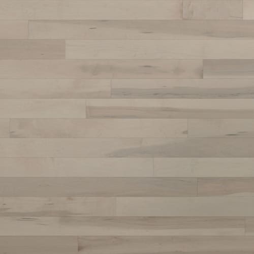 Essential Hard Maple - Solid