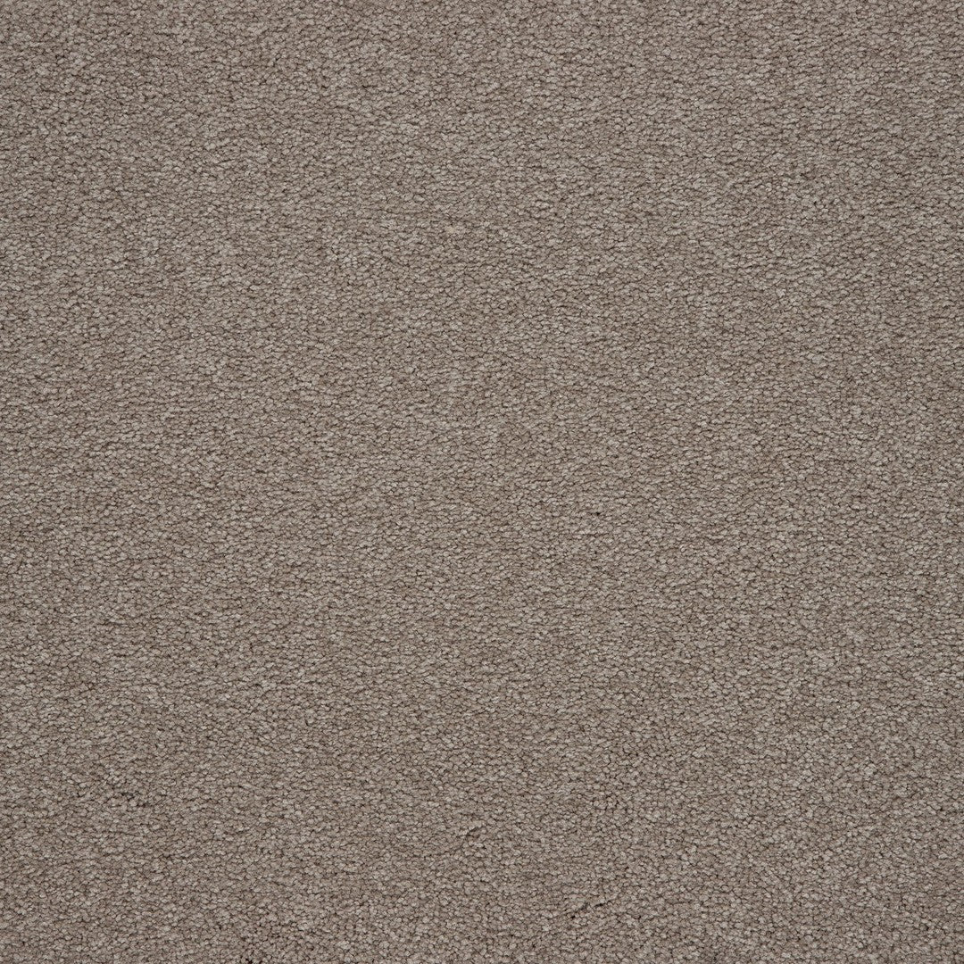 Captivating Style in Walnut Frost