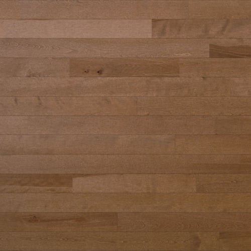 Essential Yellow Birch - Solid