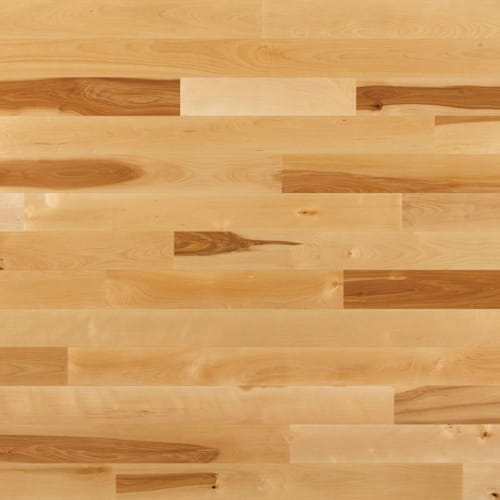 Essential Yellow Birch - Solid