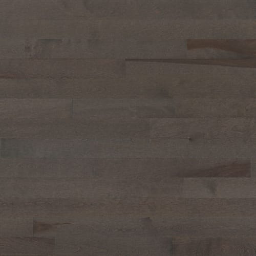 Essential Yellow Birch - Solid