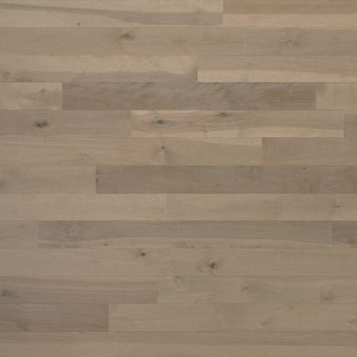 Essential Yellow Birch - Solid