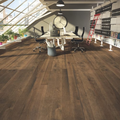 Elegancia Collection - Smooth Yellow Birch Solid 3/4