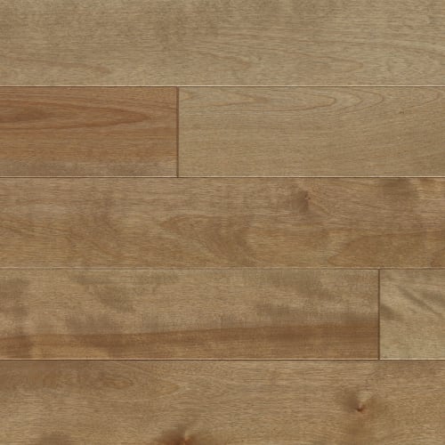 Elegancia Collection - Smooth Yellow Birch Solid 3/4