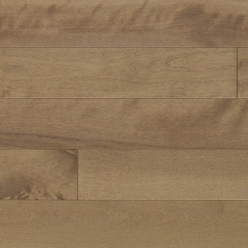 Elegancia Collection - Smooth Yellow Birch Solid 3/4