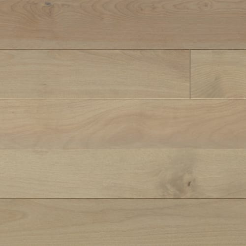 Elegancia Collection - Smooth Yellow Birch Solid 3/4