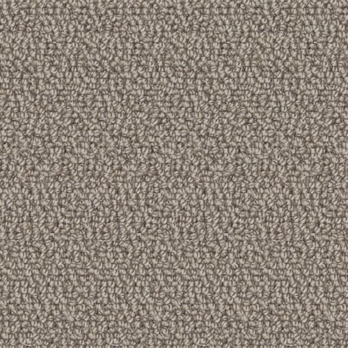 Nyluxe Petguard - Twill in Estuary Fog Carpet