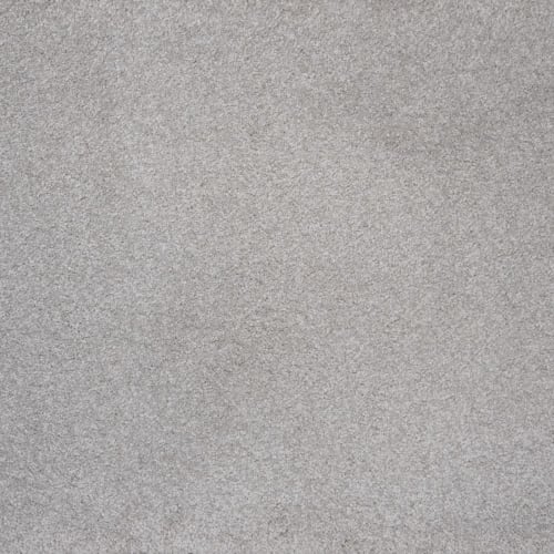 Evolve in Greige Carpet