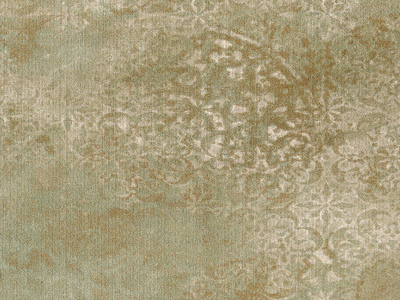 Imagine - Ancient Allure in Olive Grove