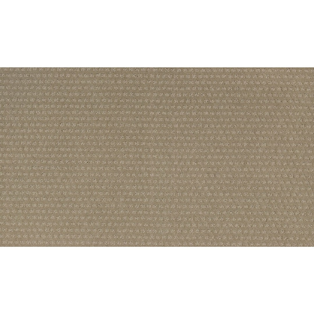 Pure Refinement in Toasted Almond