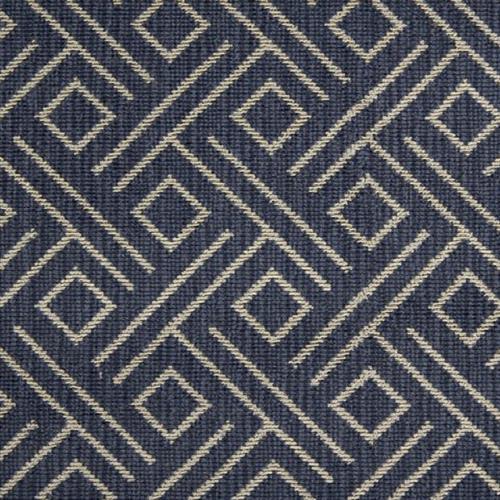 Vizio in Indigo