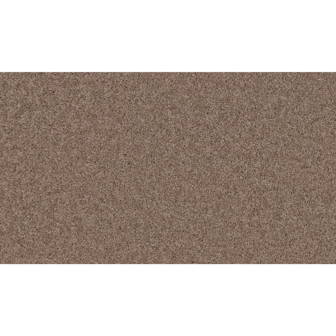 Timeless Idea in Foxfire Suede