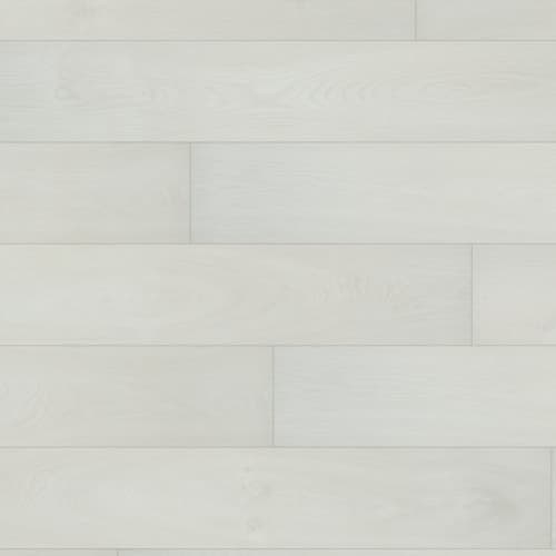Atomic Xtra in Fluorine Xtra Laminate