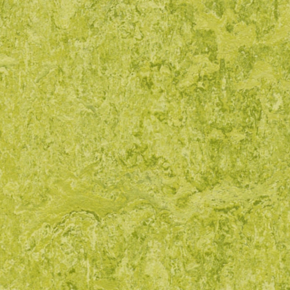 Marmoleum - Cinch Loc Seal in Chartreuse