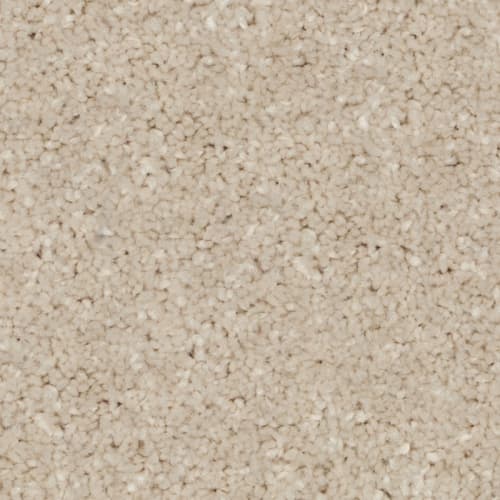 Tryesse - Calm Ambiance in Fresh Cream Carpet