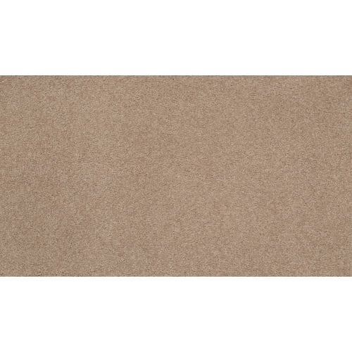 Opulent Tradition in Cozy Corner Carpet