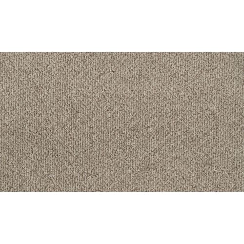 Serene Reflection in Tradition Carpet