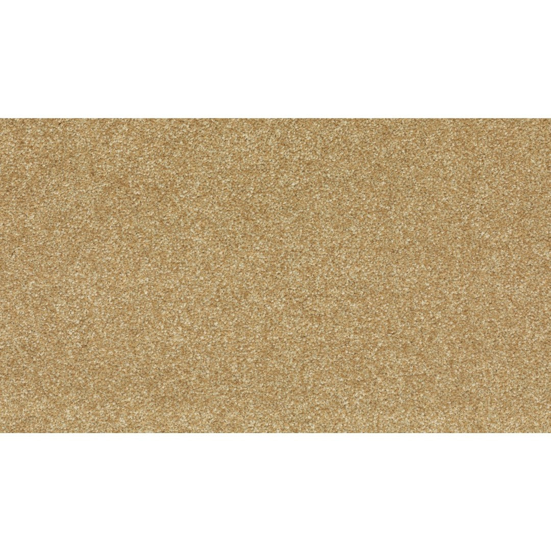 Radiant Tone in Honey Cream