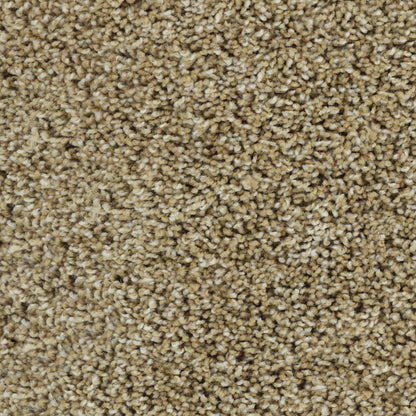 Posh Beauty in Warm Sand