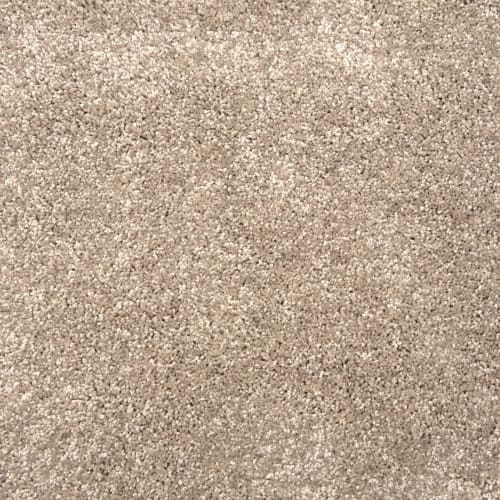 Grail in Shell Carpet