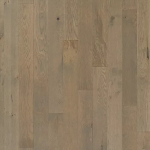 Camden Park in Gray Cashmere Hardwood
