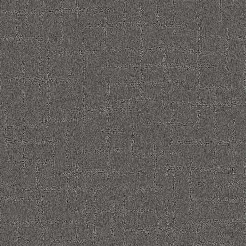Nyluxe Petguard - Nightscape