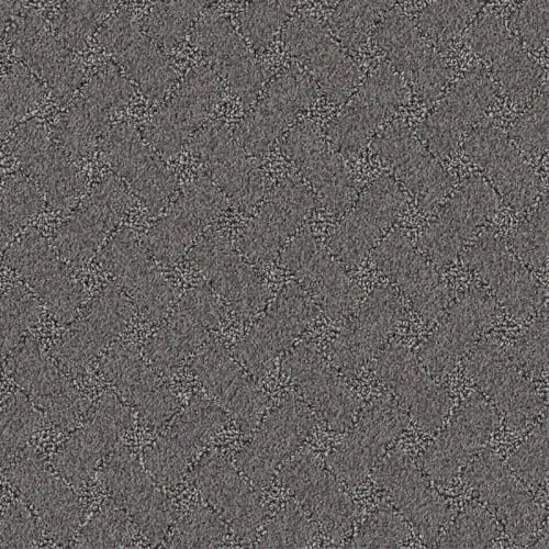 Nyluxe Petguard - Snowscape