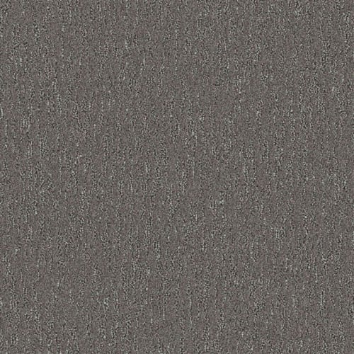Nyluxe Petguard - Spiderweb