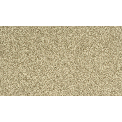Modern Portfolio in Renoir Bisque