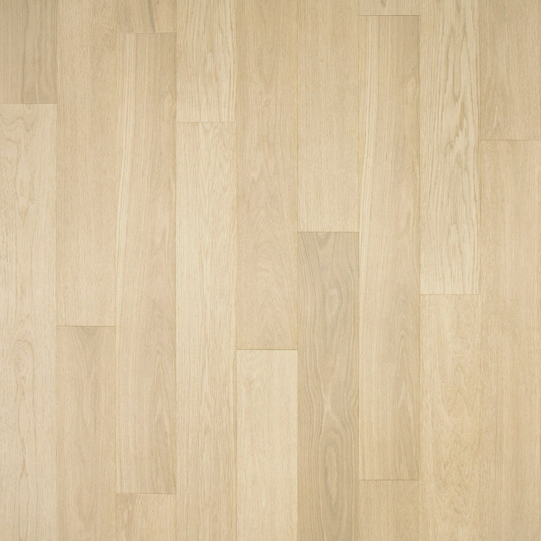 Adler Place in Pale Oak