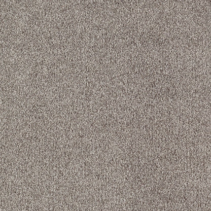 Eloquent Color in Espresso