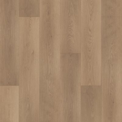 Hazelwood Drift in Nadine