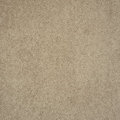 HAMPSHIRE in Putty Carpet