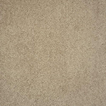 HAMPSHIRE in Putty Carpet