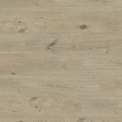 Maven Xtra in Hawking Xtra Laminate