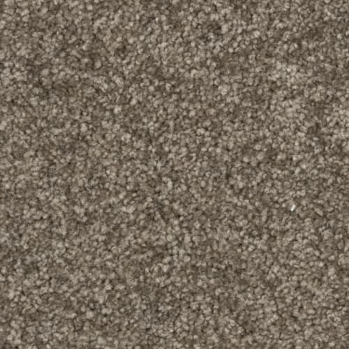 Nyluxe SDN - Webster SDN