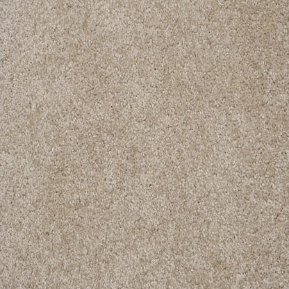 HENRY in Shell Carpet