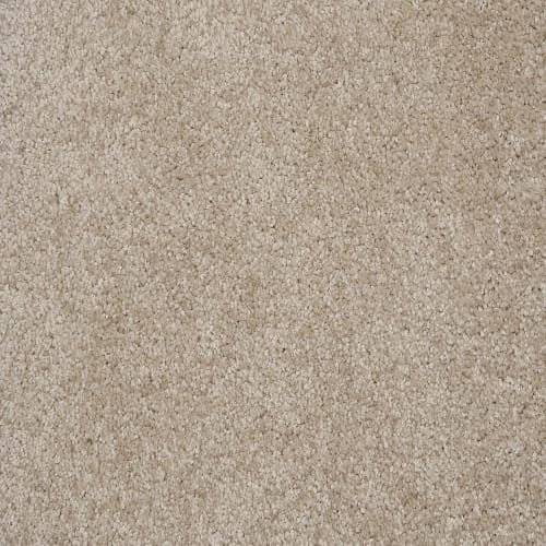 HENRY in Shell Carpet