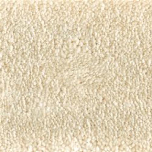 Atelier Marquee - Velveteen in Champagne
