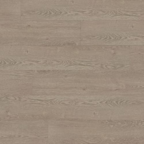 Maven Xtra in Hodgkin Xtra Laminate