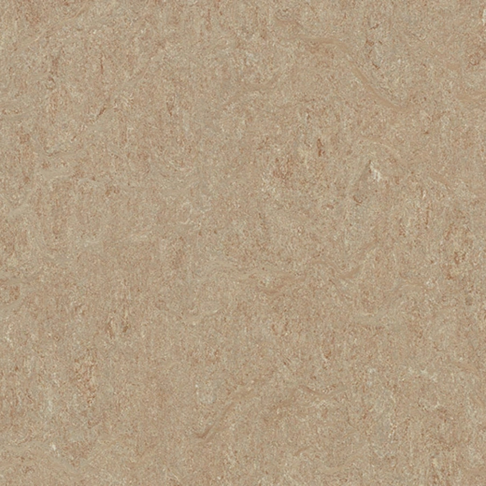 Marmoleum - Cinch Loc Seal in Weathered Sand