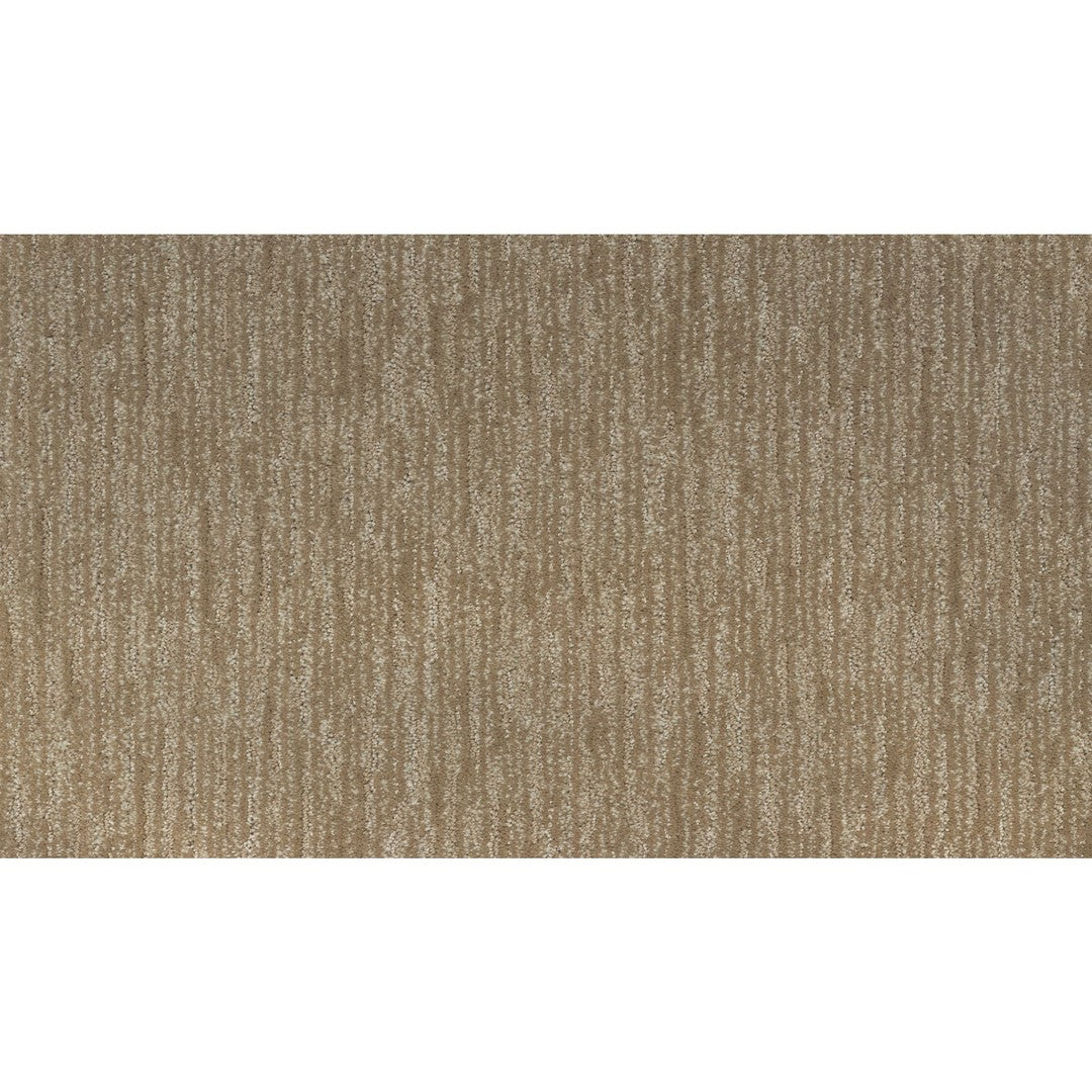 Enchanting Regard in Hearth Beige