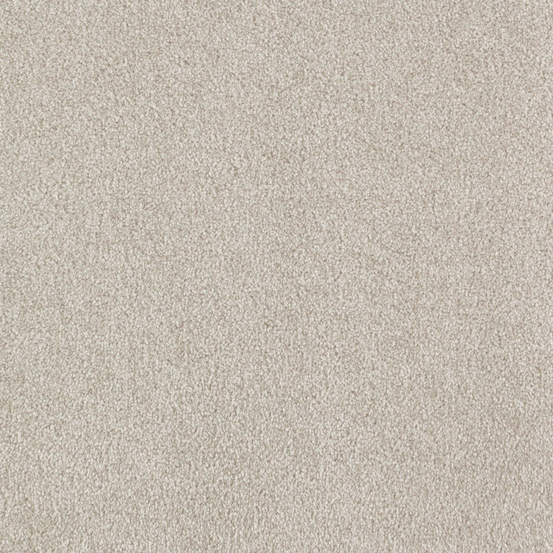 Lavish Statement in Stellar