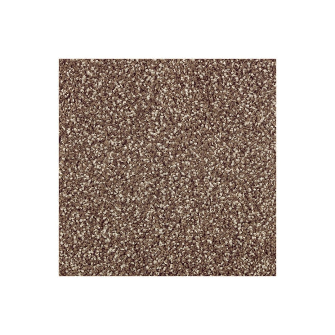 Native Allure I in Dried Peat