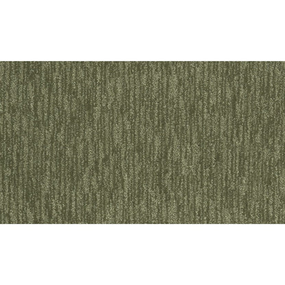 Enchanting Regard in Pine Needle