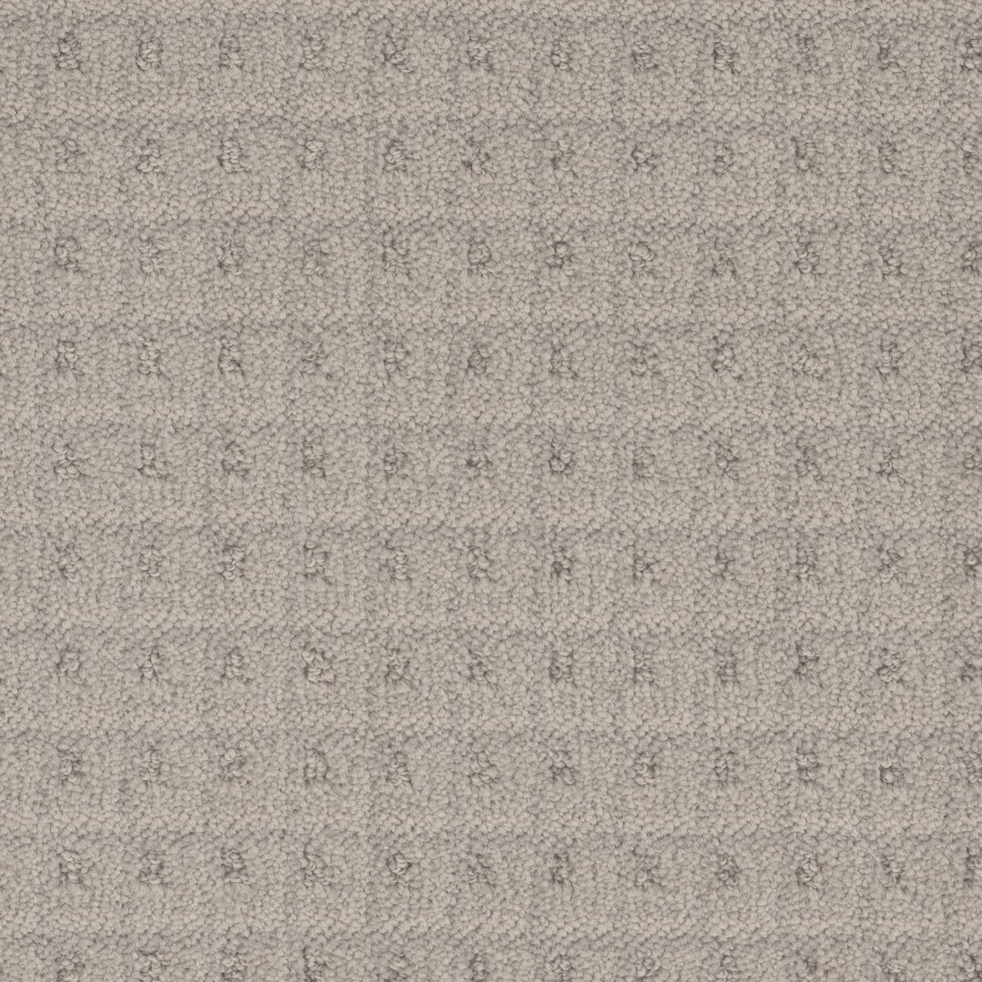 Cambria in Parchment
