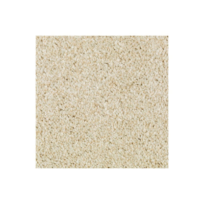 Natural Accents I in Crumb Cookie