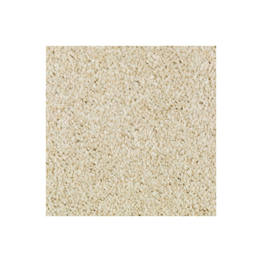 Natural Accents II in Crumb Cookie